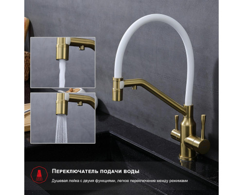 Смеситель Raglo R81.62.03 для кухни с подключением к фильтру съёмный гибкий излив с магнитным фиксатором, сатин золотой