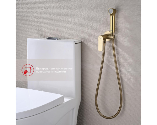 Смеситель Raglo R03.52.03 с гигиеническим душем встраиваемый , сатин золотой