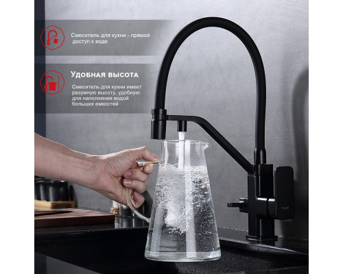 Смеситель Raglo R85.62.06 для кухни с подключением к фильтру съёмный гибкий излив с магнитным фиксатором, черный