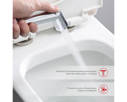 Смеситель Raglo R23.56 с гигиеническим душем встраиваемый с темостатом , хром