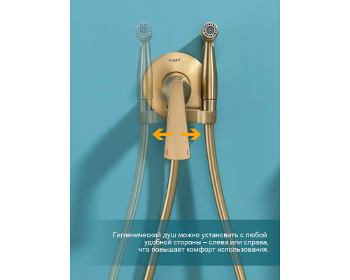 Смеситель Raglo R07.52.03 с гигиеническим душем встраиваемый , сатин золотой