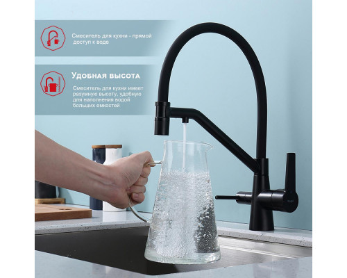 Смеситель Raglo R80.62.06 для кухни с подключением к фильтру съёмный гибкий излив с магнитным фиксатором, черный