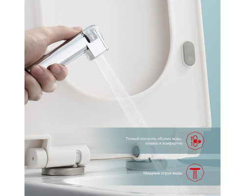 Смеситель Raglo R24.56 с гигиеническим душем встраиваемый с термостатом , хром