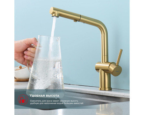 Смеситель Raglo R86.49.03 для кухни с выдвижным изливом, сатин золотой