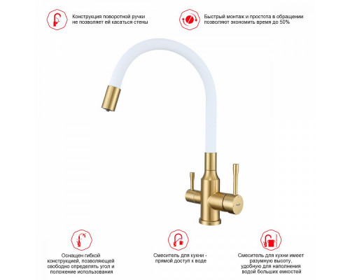 Смеситель Raglo R81.64.03 для кухни с подключением к фильтру излив гибкий поворотный, сатин золотой