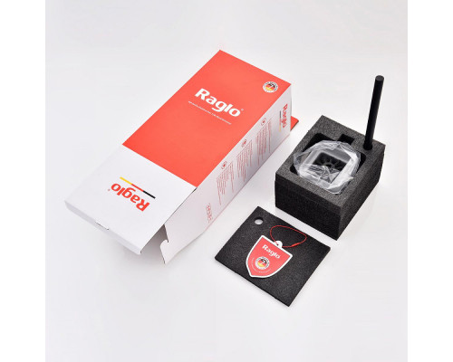 Ёршик для унитаза Raglo R301.10.06 с держателем,черный