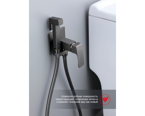 Смеситель Raglo R02.54.09 с гигиеническим душем встраиваемый , графит