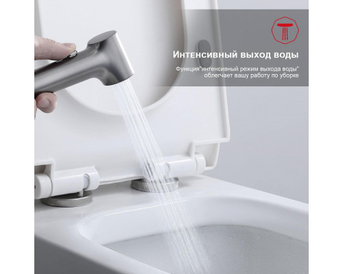 Смеситель Raglo R03.52.09 с гигиеническим душем встраиваемый , графит