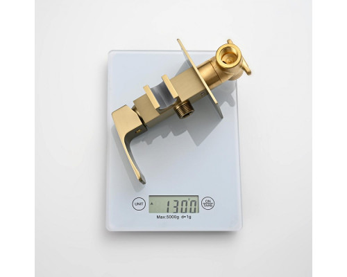 Смеситель Raglo R01.52.03 с гигиеническим душем встраиваемый , сатин золотой