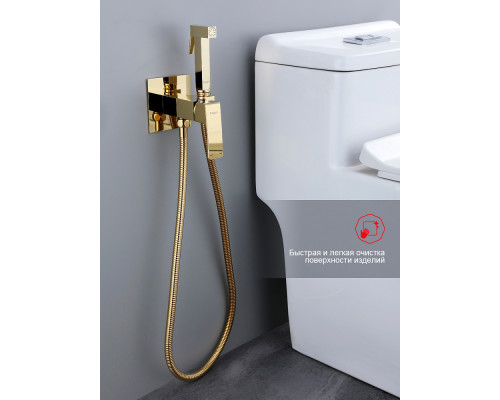 Смеситель Raglo R01.52.23 с гигиеническим душем встраиваемый , золото