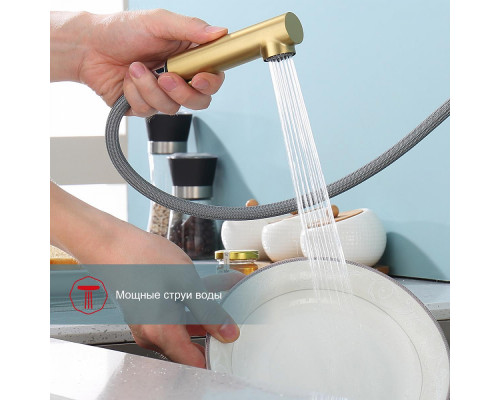 Смеситель Raglo R86.49.03 для кухни с выдвижным изливом, сатин золотой