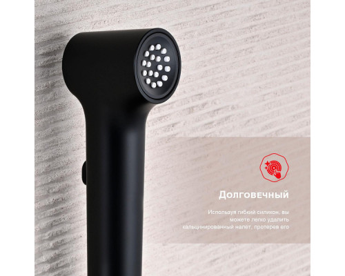 Смеситель Raglo R03.52.06 с гигиеническим душем встраиваемый , черный