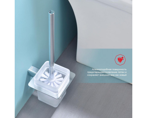 Ёршик для унитаза Raglo R301.10 с держателем,хром