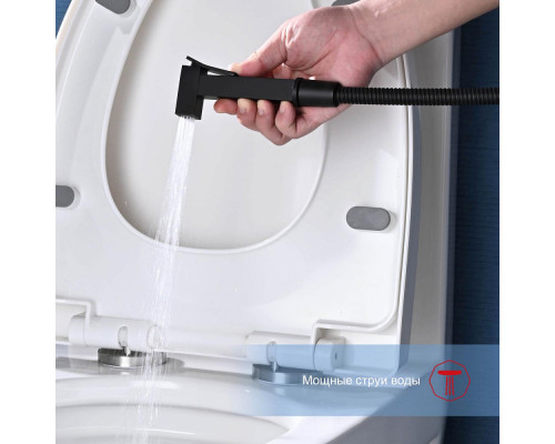 Смеситель Raglo R01.51.06 с гигиеническим душем настенный , черный