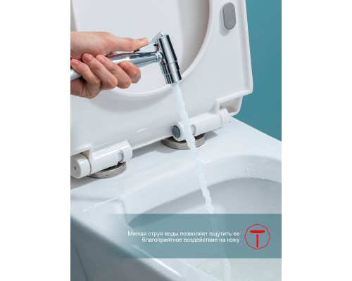 Смеситель Raglo R07.52 с гигиеническим душем встраиваемый , хром