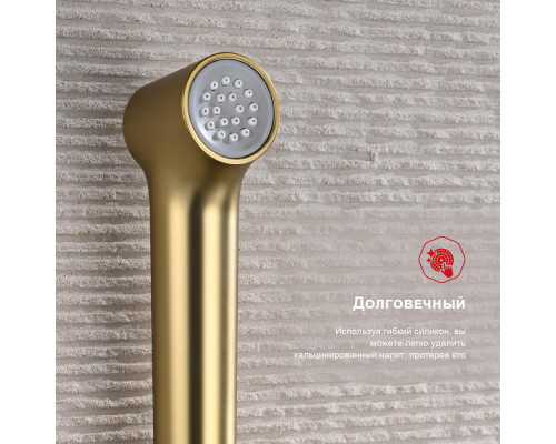 Смеситель Raglo R03.52.03 с гигиеническим душем встраиваемый , сатин золотой