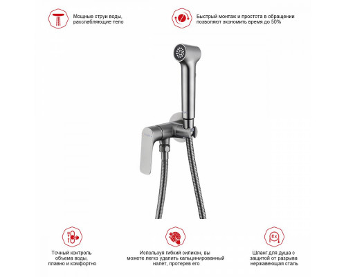 Смеситель Raglo R03.52.09 с гигиеническим душем встраиваемый , графит