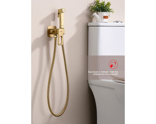 Смеситель Raglo R51.52.03 с гигиеническим душем встраиваемый , сатин золотой