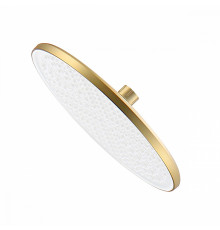 Лейка душевая верхняя Raglo R451.50.03 тропический душ ∅250мм пластик/силикон, Сатин золотой