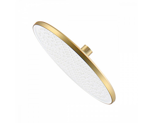 Лейка душевая верхняя Raglo R451.50.03 тропический душ ∅250мм пластик/силикон, Сатин золотой