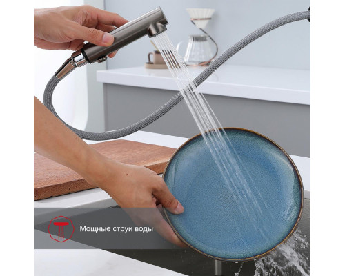 Смеситель Raglo R86.49.09 для кухни с выдвижным изливом, графит