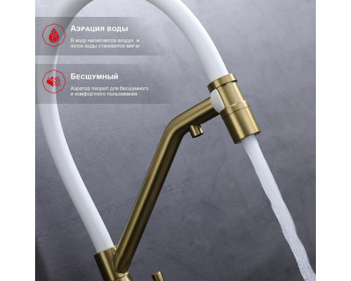 Смеситель Raglo R81.62.03 для кухни с подключением к фильтру съёмный гибкий излив с магнитным фиксатором, сатин золотой