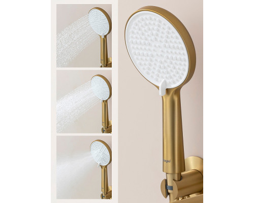 Смеситель Raglo R20.32.03 для ванны и душа встраиваемый излив монолитный 20 см, сатин золотой