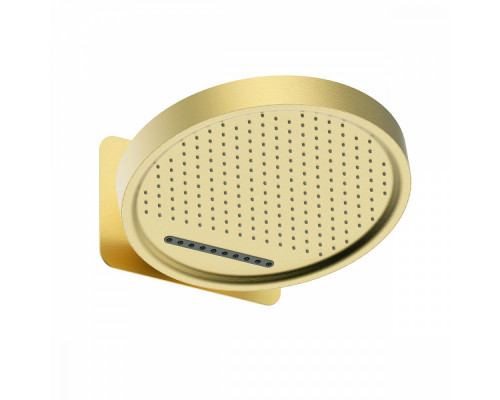 Лейка верхняя Raglo R452.02.03 для душа ∅323мм 2 режима круглая нержавеющая сталь, сатин золотой