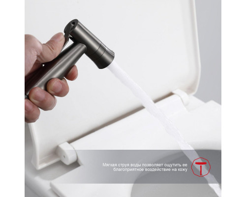 Смеситель Raglo R10.52.09 с гигиеническим душем встраиваемый , графит