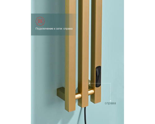 Полотенцесушитель электрический RAGLO R350.17.03 настенный сенсорный узкий с терморегулятором , сатин золотой