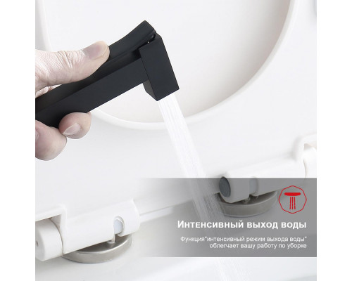 Смеситель Raglo R01.53.06 с гигиеническим душем встраиваемый , черный