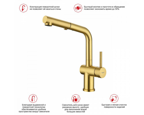 Смеситель Raglo R86.49.03 для кухни с выдвижным изливом, сатин золотой
