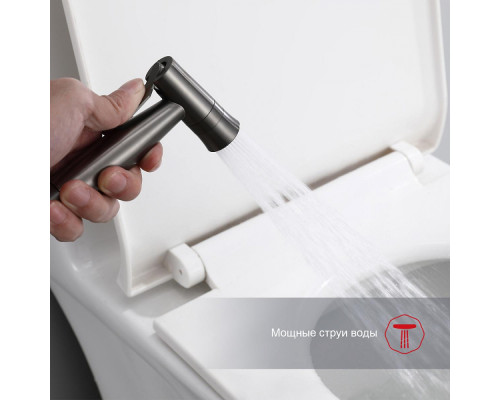 Смеситель Raglo R10.52.09 с гигиеническим душем встраиваемый , графит