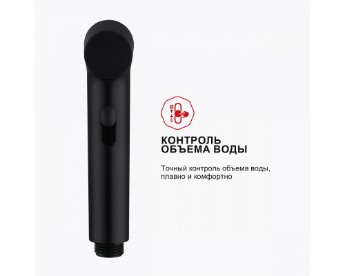 Смеситель Raglo R03.53.06 с гигиеническим душем встраиваемый , черный