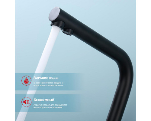 Смеситель Raglo R81.61.06 для кухни с подключением к фильтру излив поворотный, черный