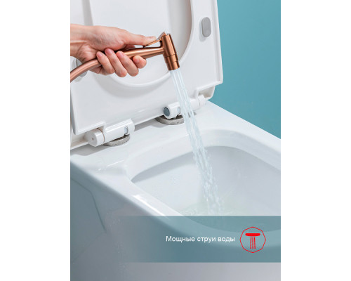 Смеситель Raglo R07.52.33 с гигиеническим душем встраиваемый , матовая медь