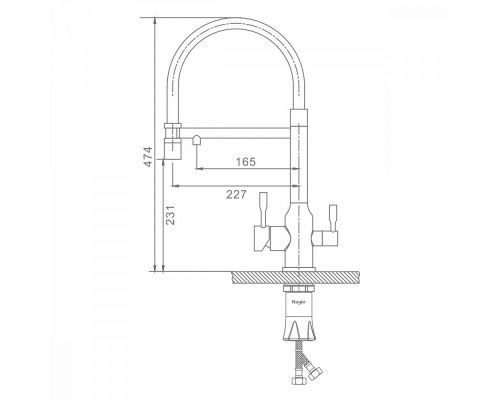 Смеситель Raglo R81.63.09 для кухни с подключением к фильтру съёмный гибкий излив с магнитным фиксатором, графит