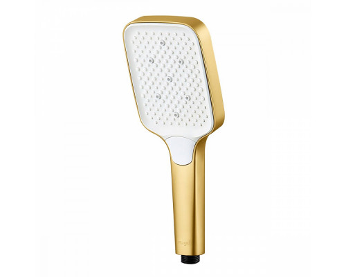 Лейка душевая Raglo R450.52.03 3-х режимная прямоугольная пластик/силикон, Сатин золотой