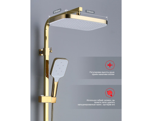 Душевая система Raglo R02.24.23 для ванны и душа излив поворотный 20 см, золото