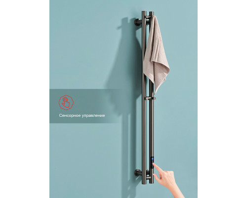 Полотенцесушитель электрический RAGLO R350.11.09 настенный сенсорный узкий с терморегулятором , графит