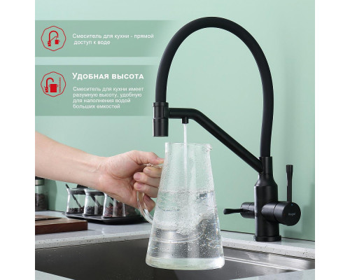Смеситель Raglo R81.62.06 для кухни с подключением к фильтру съёмный гибкий излив с магнитным фиксатором, черный