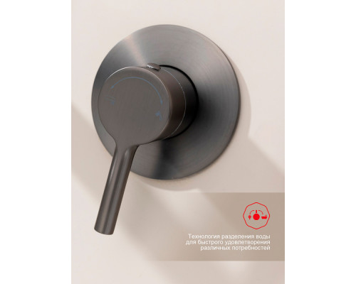 Смеситель Raglo R20.32.09 для ванны встраиваемый излив монолитный 20 см, графит