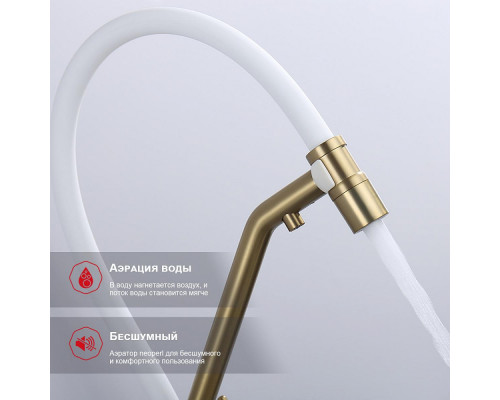 Смеситель Raglo R80.62.03 для кухни с подключением к фильтру съёмный гибкий излив с магнитным фиксатором, сатин золотой