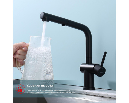 Смеситель Raglo R86.49.06 для кухни с выдвижным изливом, черный