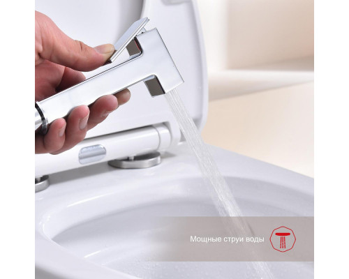 Смеситель Raglo R51.51 с гигиеническим душем настенный , хром