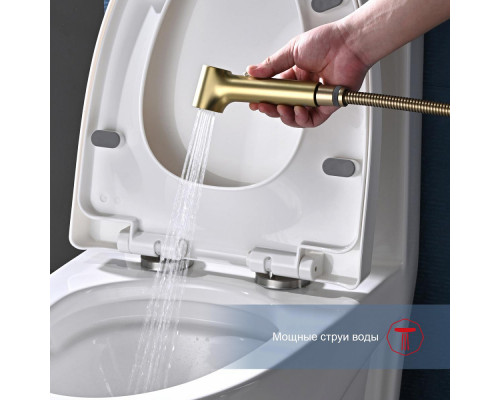 Смеситель Raglo R03.51.03 с гигиеническим душем настенный , сатин золотой