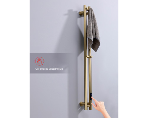 Полотенцесушитель электрический RAGLO R350.11.03 настенный сенсорный узкий с терморегулятором , сатин золотой