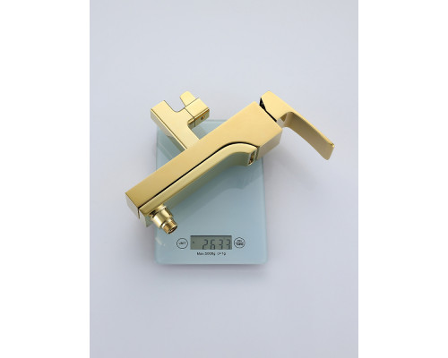 Душевая система Raglo R02.24.23 для ванны и душа излив поворотный 20 см, золото