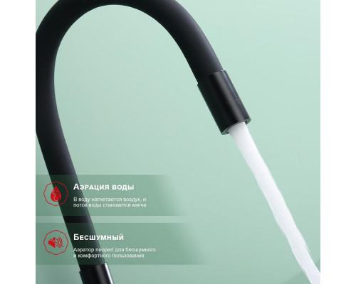 Смеситель Raglo R81.64.06 для кухни с подключением к фильтру излив гибкий поворотный, черный