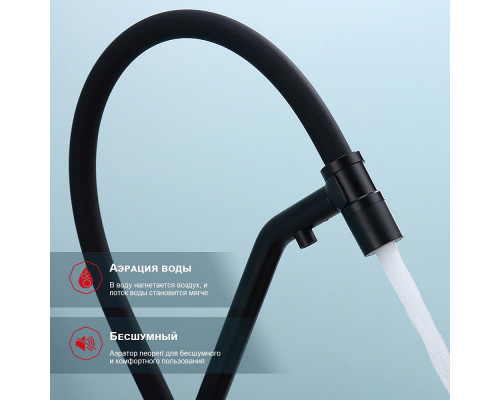 Смеситель Raglo R80.62.06 для кухни с подключением к фильтру съёмный гибкий излив с магнитным фиксатором, черный